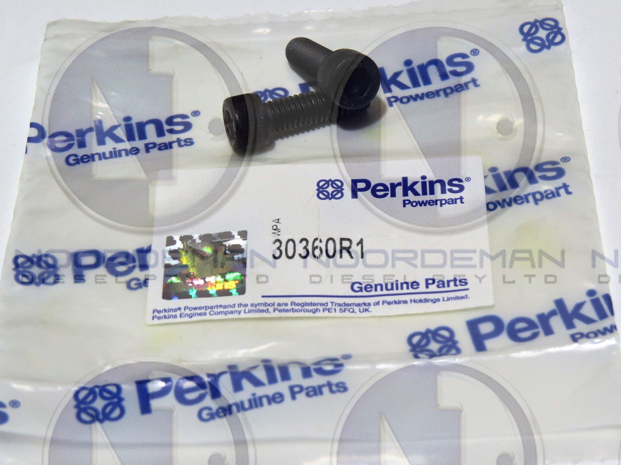 30360R1 Perkins Injector Harness Screw